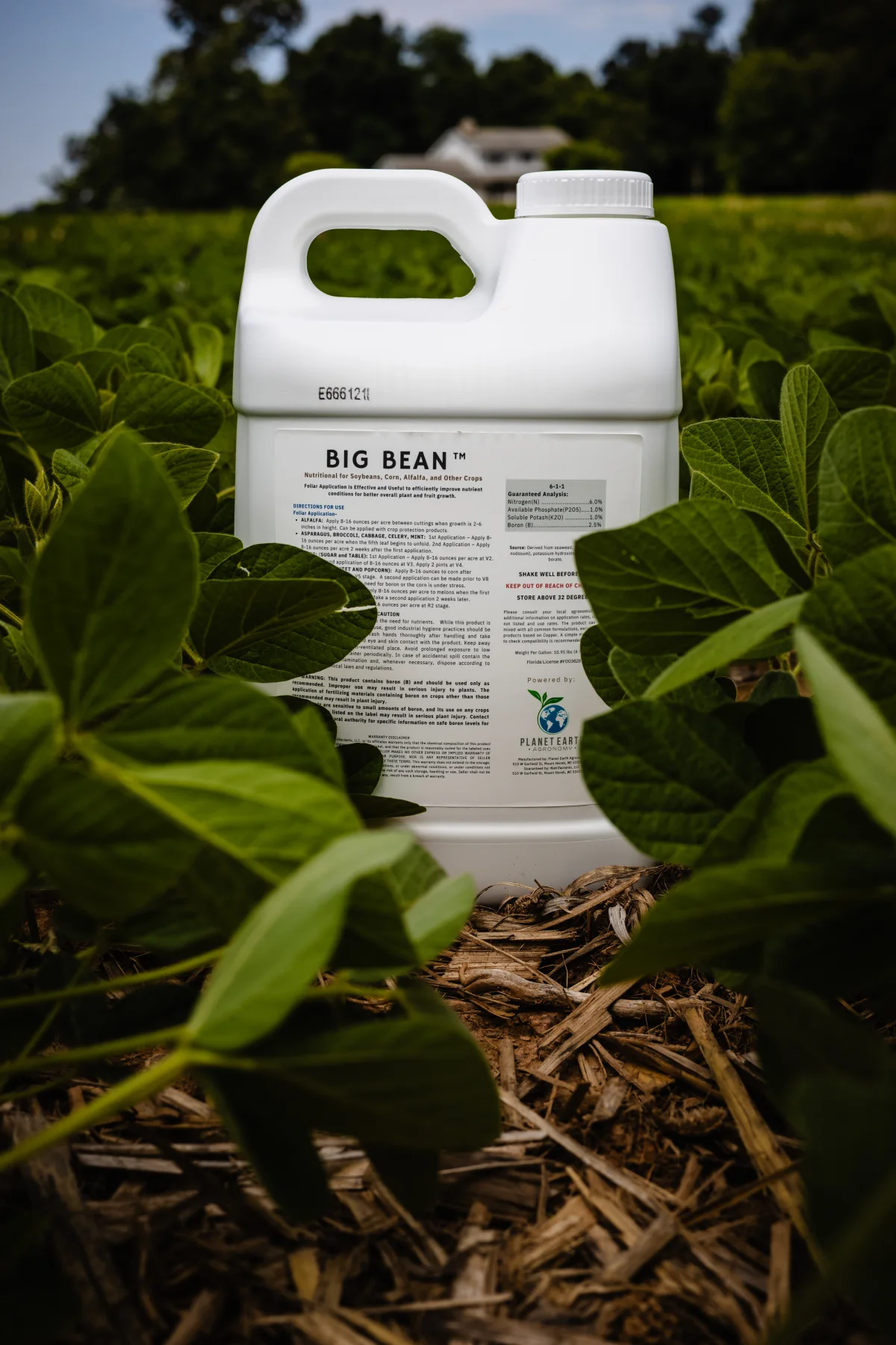 A jug of BIG BEAN foliar nutrition standing among soybean plants